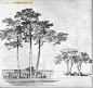 树的画法与表现技法 - 丹丹 - 丹丹的梦想城
