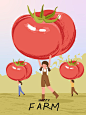 Farmer cartoon characters with tomato harvest in farm poster illustrations