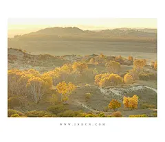 《秋后》_内蒙古_黄河上下_光影天下_数码生存-小林的摄影设计手绘文字