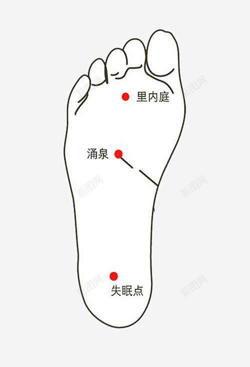 人体脚底穴位 页面网页 平面电商 创意素...