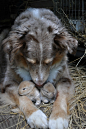 Togetherness 