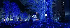 蓝色的水晶灯桌面壁纸夜景-桌面背景-高清壁纸下载-彼岸桌面