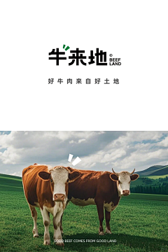 抱腩腩大腿采集到品牌设计