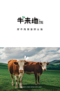牛来地品牌设计，看出来是卖牛肉的吗？ - 小红书