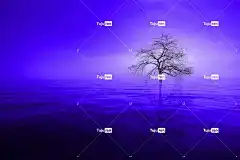 高清壁纸 自然 树 水 湖 海 天空 蓝色的 反射