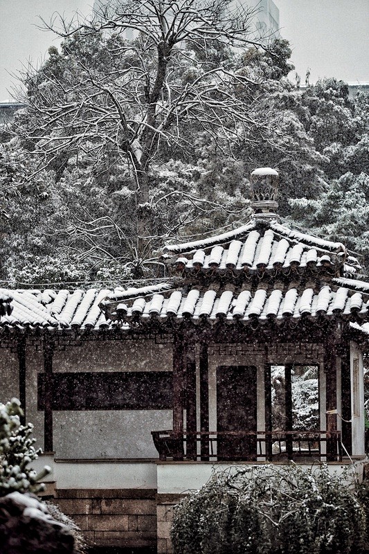 戊戌年大雪_风景_POCO摄影,南京,古...