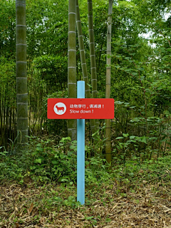 是只努力的废猫采集到空间、指引、文化墙