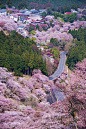 Yerrr - inefekt69:  Mt Yoshino - Nara, Japan