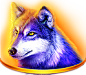 buffalo slot : casino  slot  games  buffalo 