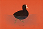BIRDCEMBER