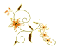 花纹3.png