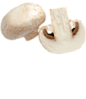 Champignon de Paris (pied coupé)