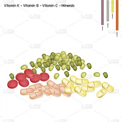 绿豆富含维生素K，维生素B，维生素C和矿物质