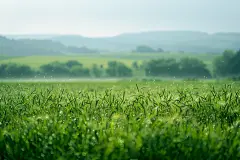 唯美的自然风景桌面壁纸
