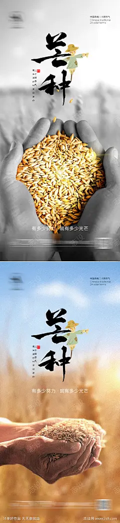 芒种节气海报_源文件下载_PSD格式_1080X4677像素-麦子,地产,海报,稻子,二十四节气,芒种,芒种节气海报-作品编号:2023062310174904-志设-zs9.com