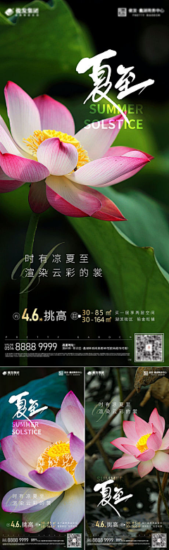 谭齐官采集到夏至【源文件design006.com】