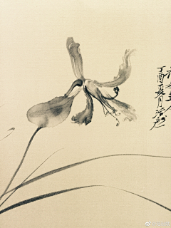 90后超气人画师张葱葱采集到【参考】-油画