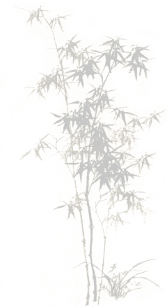 HIZAR采集到阴影纹理