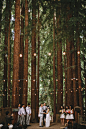 纯粹朴素的森林婚礼灵感，原始自然的密林之旅~+来自：婚礼时光——关注婚礼的一切，分享最美好的时光。#灯泡吊饰# #森林婚礼#