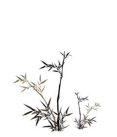 用户dMBUUahl采集到边框