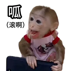 抽象表情包大赏｜一起来连读 - 小红书