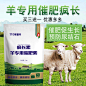 羊专用催肥素羊催肥宝维生素促生长催肥牛羊催肥药疯长王疯长素-淘宝网