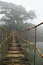 Island Rope Bridge, Sapa,Vietnam: 