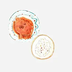 牛排饭手绘画片免抠素材_新图网 https://ixintu.com 套餐 手绘美食 牛排饭 米饭 色彩画
