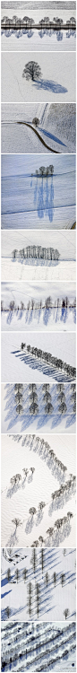 【摄影】一组漂亮的冬季树影航拍作品——来自德国摄影师Klaus Leidorf。 Leidorf总是能从普通场景中发现色彩和图案。“对我来说，最大挑战是将自然的美丽，结合几何图案和情绪一起表现在画面上。”他说道。via：http://www.flickr.com/photos/leidorf/
