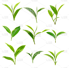 weitdo采集到绘画