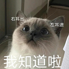 在你采集里疯狂进货采集到在繁忙的工作之余寻求一丝快乐