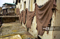 The Tanneries Morocco in Fez