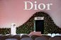 2017 / 2019 Dior 年会