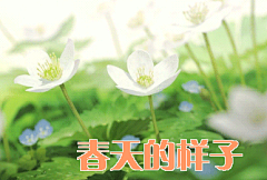 相约春天GIF动态图片_相约春天GIF素材_相约春天表情包_GIF工具-SOOGIF