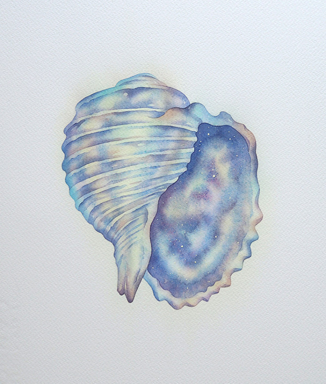 手绘水彩星空彩虹荧光渐变贝壳插画