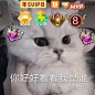 敲可爱猫头.爱自己是终身浪漫的_微信头像_我要个性网