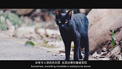 不做你的哆啦A梦采集到原创丨摄影作品集