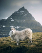 Starting my pictures from the Faroes with a sheep, probably the first thing that comes to your mind when thinking about these islands. But they have much more to offer, which i'll show you in my upcoming postsStarting my pictures from the Faroes with a sh