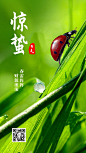 金融保险惊蛰节气祝福竖版海报