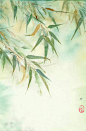 一画流年