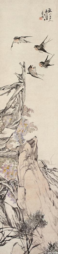 诺宴采集到清