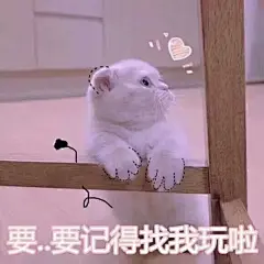今日份美貌确认 
#权律二表情包# 
#沙雕熊猫表情包# ​​​​