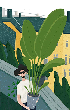 洛小森采集到手绘植物 