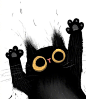 炸毛猫 

via.Dan Tavis ​​​​
