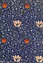 威廉·莫里斯_9 - william morris_9