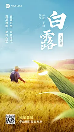 白露金融保险节气祝福问候实景风手机海报