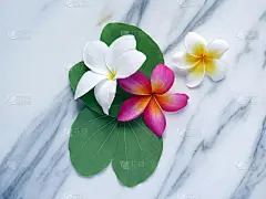 温泉放松美丽的热带花卉壁纸或背景