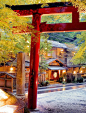 Shinto torii gateway shrine, Kyoto, Japan