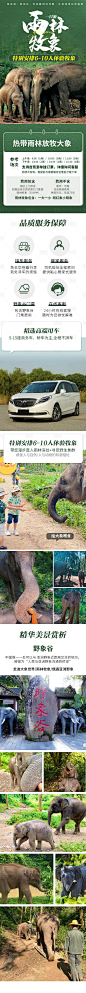 【源文件下载】 电商详情页 淘宝详情页 旅游 云南 西双版纳 野象谷  设计作品 设计图集