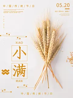 中国传统二十四节气小满节气宣传海报
